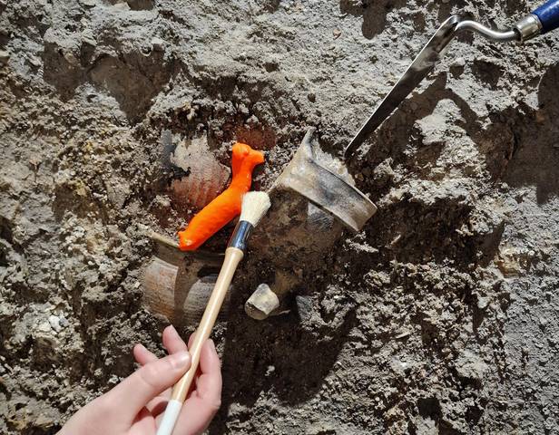 Kleine Stadtarchäologen wird es zukünftig in Halberstadt geben ©Städtisches Museum Halberstadt