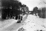 Spiegelsberge, Rodelbahn, Winterlandschaft, Brücke 1910-1920