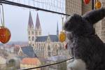 Der Osterhase besucht zu Ostern die Halberstädter