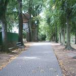 (c) Friedhofsverwaltung Halberstadt