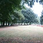 (c) Friedhofsverwaltung Halberstadt