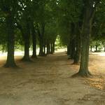 (c) Friedhofsverwaltung Halberstadt