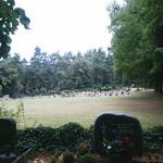 (c) Friedhofsverwaltung Halberstadt