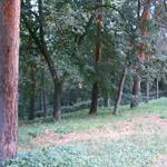 (c) Friedhofsverwaltung Halberstadt