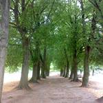 (c) Friedhofsverwaltung Halberstadt