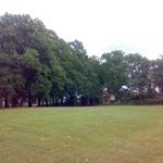 (c) Friedhofsverwaltung Halberstadt