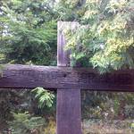 (c) Friedhofsverwaltung Halberstadt