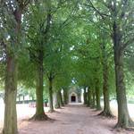 (c) Friedhofsverwaltung Halberstadt