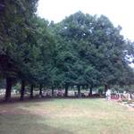 (c) Friedhofsverwaltung Halberstadt