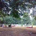 (c) Friedhofsverwaltung Halberstadt