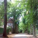 (c) Friedhofsverwaltung Halberstadt