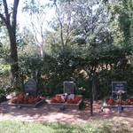 (c) Friedhofsverwaltung Halberstadt