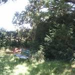 (c) Friedhofsverwaltung Halberstadt