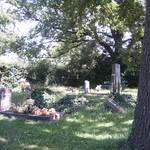 (c) Friedhofsverwaltung Halberstadt