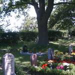 (c) Friedhofsverwaltung Halberstadt