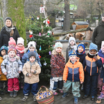 Das Weihnachtsbaumschmücken im Tiergarten Das Weihnachtsbaumschmücken im Tiergarten