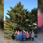 Weihnachtsbaum in Emersleben geschmückt