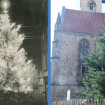 Weihnachtsbaum Martiniplan 1920er/ Weihnachtsbaum für Alle seit 2021 am Martiniplan &copy;Städtisches Museum HBS/ Holger Wegener