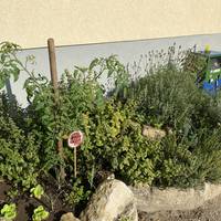 Kita Spatzennest in Aspenstedt [(c) Stadtmarketing/Öffentlichkeitsarbeit]