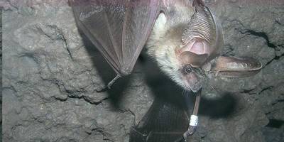 vergrößern vergrößern