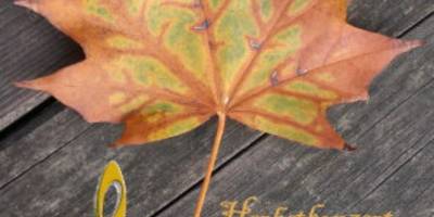 Herbstkonzert der Kreismusikschule Herbstkonzert der Kreismusikschule