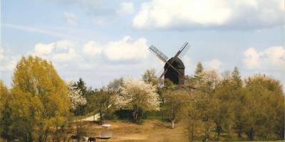 Bockwindmühle Badersleben Bockwindmühle Badersleben