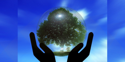 Klimaschutzmanagement Halberstadt ©Pixabay