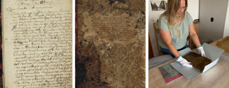 Besonderes Dokument zur altpolnischen Geschichte im Stadtarchiv Halberstadt entdeckt